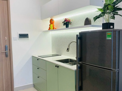 Chính chủ gửi bán căn studio - 25m2- 2.05 tỷ- tòa s403 - vinhomes smart city - full nội thất đẹp - 1