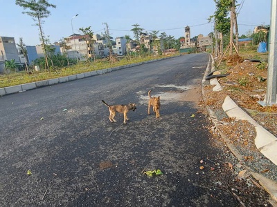 Cần bán lô đất đấu giá dg06 đẹp - vị trí đắc địa tại tt quốc oai, huyện quốc oai, tphn 1