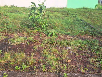 Cần bán lô đất đấu giá dg06 đẹp - vị trí đắc địa tại tt quốc oai, huyện quốc oai, tphn 2