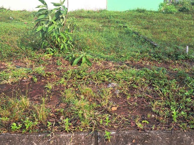 Cần bán lô đất đấu giá dg06 đẹp - vị trí đắc địa tại tt quốc oai, huyện quốc oai, tphn 3