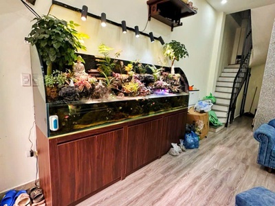 Vô cùng hiếm - mặt phố đàm quang trung long biên - 42 m  6 tầng thang máy, mt 5 m, hơn 12 t.ỷ- kinh 2