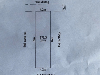 MUA ĐẤT an toàn lai có lãi. Bán đất tặng nhà đường Bùi Thị tự nhiên Đông Hải 1 1