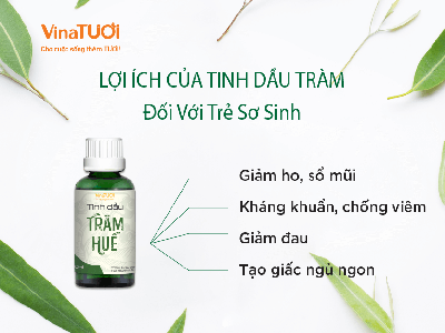 Cách Dùng Tinh Dầu Tràm An Toàn Cho Trẻ Sơ Sinh   Tìm Hiểu Tại Vinatuoi 0