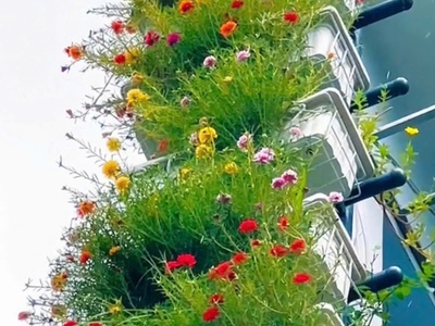 Gò Vấp, nhà đất Phan Huy Ích Hạ thêm 300 còn 5 tỷ đường 6m xe hơi bớt xíu lộc cho khách mau mắn 6