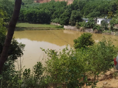 Đất đẹp - giá tốt - vị trí đắc địa tại xã yên bồng, huyện lạc thuỷ, tỉnh hoà bình 4