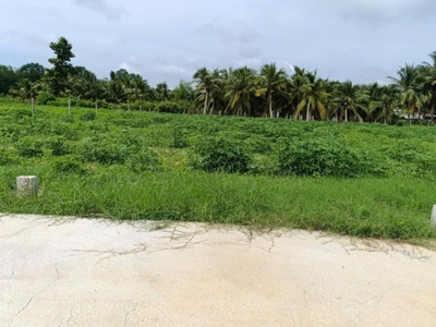 NGỘP QUÁ NGỘP BÁN GẤP ĐẤT Tam Hạp, Thái Bình, Châu Thành, Tây Ninh  470.000.000 3