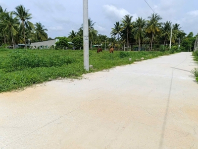 NGỘP QUÁ NGỘP BÁN GẤP ĐẤT Tam Hạp, Thái Bình, Châu Thành, Tây Ninh  470.000.000 1