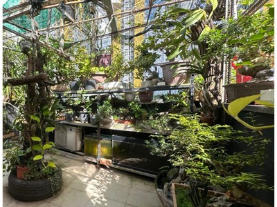 Sở hữu nhà phố 4 tầng quận 8 - không gian rộng rãi, phù hợp gia đình trẻ 4