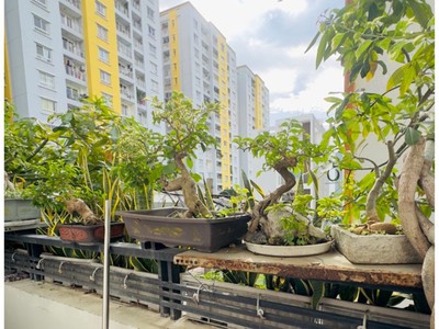 Sở hữu nhà phố 4 tầng quận 8 - không gian rộng rãi, phù hợp gia đình trẻ 2