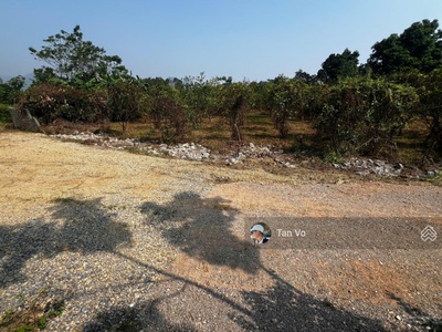 Giá chưa tới 1 triệu/m cho đất tại đường 21, liên sơn, lương sơn, hòa bình 0