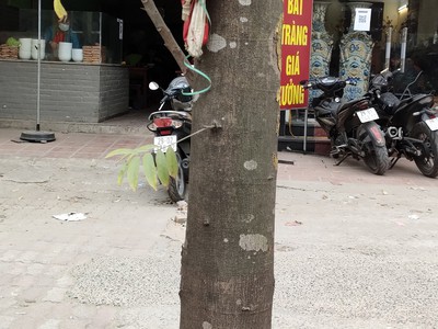 Nhà hiếm hai bà trưng còn sót mỗi căn trương định 27m, 3 tầng, mặt tiền 7.8m, 3.7 tỷ. 2