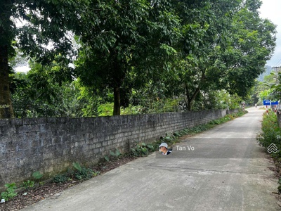 Thanh lý lô đất cao dương 1100m2 giá 2tr/m2, mặt tiền 20m, đường vào 2 oto. thông tin trong bài 3