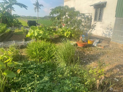 Đất chính chủ- giá tốt  cần bán nhanh lô đất vị trí đắc địa tại xã bình mỹ, huyện củ chi, tphcm 3