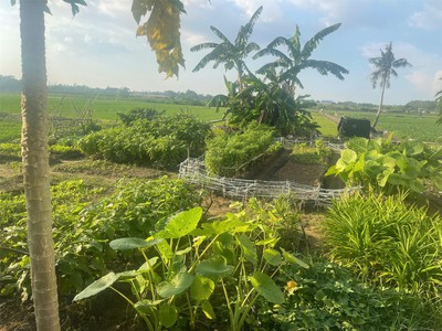 Đất chính chủ- giá tốt  cần bán nhanh lô đất vị trí đắc địa tại xã bình mỹ, huyện củ chi, tphcm 4