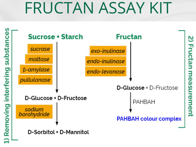 Bộ Xét nghiệm Fructan Assay Kit K-FRUC 1