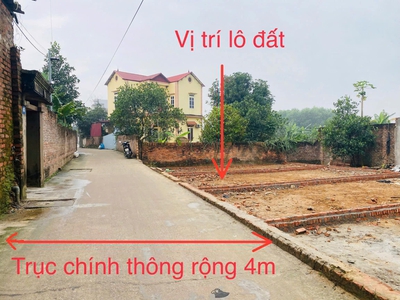Chính chủ bán lô đất 55m2  tại xuân đồng - tân minh - sóc sơn 0