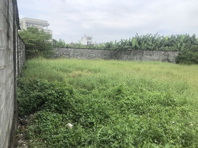 Bán đất mt ngô quang thắm nhà bè 14000m2 chỉ 9tr/1m2 tl 3