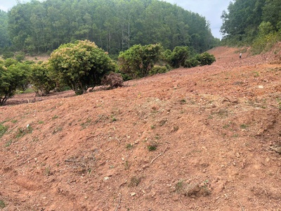 Cơ hội đầu tư sinh lời cao đất thuộc thị xã chũ- bắc giang- sở hữu farm dòng tiền ổn định 1