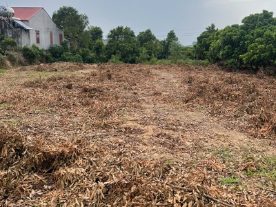 Cơ hội đầu tư sinh lời cao đất thuộc thị xã chũ- bắc giang- sở hữu farm dòng tiền ổn định 3