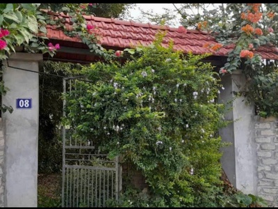 Cho thuê nhà vườn view núi ba vì và cánh đồng hoa, hai mặt tiền, độc lập, yên tĩnh, phù hợp nghỉ 1