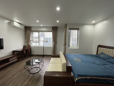 Cho thuê căn hộ cao cấp KĐT Waterfront City, 1 p.ngủ  40m2 . 0
