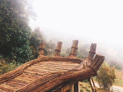 Tour Du Lịch:  Biên Hòa   Nha Trang, 3000.000 6