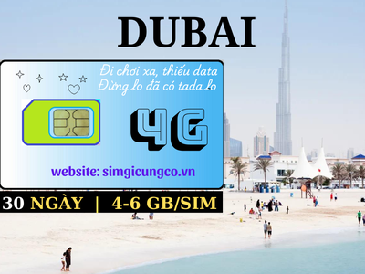SIM du lịch, Wifi quốc tế, Máy phiên dịch. 4