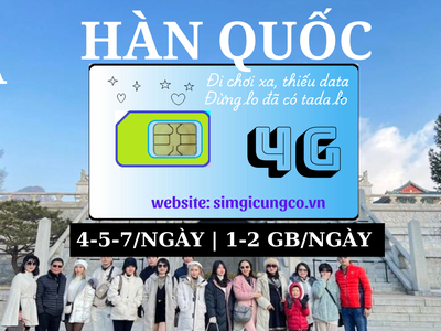 SIM du lịch, Wifi quốc tế, Máy phiên dịch. 6