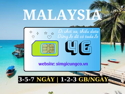SIM du lịch, Wifi quốc tế, Máy phiên dịch. 8