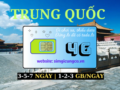 SIM du lịch, Wifi quốc tế, Máy phiên dịch. 12