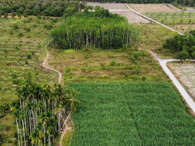 Đất đẹp - giá tốt - vị trí tại  : ấp cây đa - xã hiệp thạnh - huyện gò dầu - tỉnh tây ninh 0