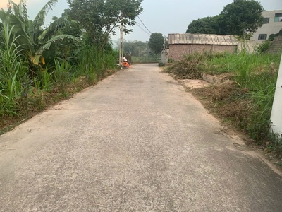 Bán đất hướng đạo, tam dương, vĩnh phúc 1400 m, 6 tỷ, mặt tiền đẹp. thổ cư nhiều, phân lô tuyệt 3