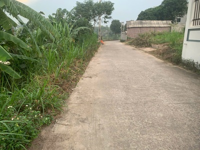 Bán đất hướng đạo, tam dương, vĩnh phúc 1400 m, 6 tỷ, mặt tiền đẹp. thổ cư nhiều, phân lô tuyệt 1