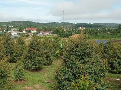 Đất chính chủ - giá tốt - vị trí đẹp tại thôn 4, xã đắk ha, huyện đắk glong, tỉnh đắk nông 2