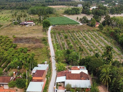 Đất đẹp - giá tốt - vị trí tại  : ấp cây đa - xã hiệp thạnh - huyện gò dầu - tỉnh tây ninh 3