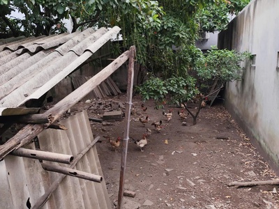 Bán đất ngô gia tự, mở ngõ to ra mặt phố không vào đát nhà mình, diện rích 70m2, mặt tiền 4.5m, giá 3