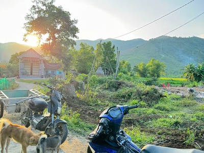 Đất chính chủ - giá tốt - vị trí đẹp tại thôn hoà nghĩa, xã mỹ hiệp, huyện phù mỹ, tỉnh bình định 3