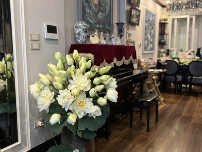 Bán nhà phố nguyễn viết xuân-thanh xuân-phân lô-2 oto tránh-kd vip-122m x mt6.7m x3 tầng-24 tỷ tl. 2