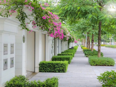Shophouse đẹp nhất dự án, hai mặt tiền trực diện chung cư, căn ngoại giao vip 1