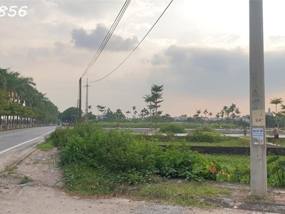 Chính chủ bán mảnh đất đấu giá đan phượng gần vành đai 4 giá 7x tr/m2. 3