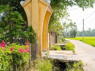 Homestay hội an quảng nam bán cắt lỗ, diện tích hơn 400m2 giá tốt để đầu tư sinh lời. 1