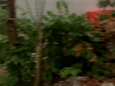 Đất tái định cư tứ hiệp phân lô vỉa hè dt60m thanh trì, kinh doanh sầm uất giá chỉ 1x tỷ 0