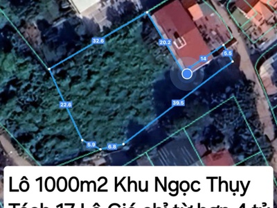Bán đất giá đầu tư lô 1000m2 đất đẹp kv ngọc thụy- ô tô qua nhà-chia ra 17 lô giá chỉ từ 4 đến 7 tỷ 0