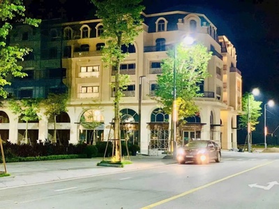 Bán shop house royal mansion- tp bắc giang, bắc giang. nơi tinh hoa hội tụ của bậc quý tộc 3