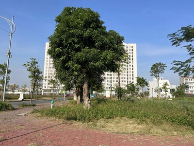 Bán cặp lô góc view vườn hoa KDC Trần Hưng Đạo, TP HD, 260m2, mặt trục chính, giá tốt 0