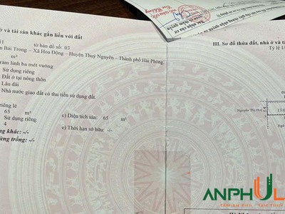 Bán đất tặng nhà sát khu Đấu giá Bái Trong, Hoa Động, Thuỷ Nguyên, Hải Phòng 0