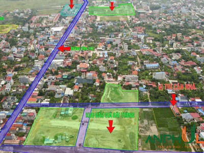 Bán đất tặng nhà sát khu Đấu giá Bái Trong, Hoa Động, Thuỷ Nguyên, Hải Phòng 3