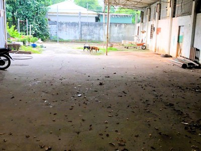Cho thuê kho xưởng 300m2 mặt tiền đường 32 - linh đông 2
