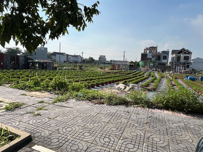 Chính chủ bán đất 2 mt đường trịnh đình thảo, kim dinh, bà rịa 1