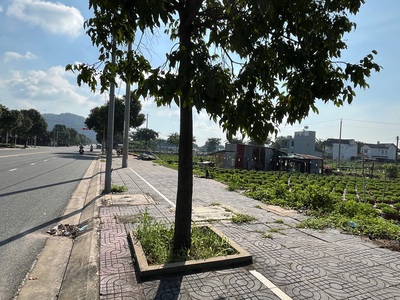 Chính chủ bán đất 2 mt đường trịnh đình thảo, kim dinh, bà rịa 2